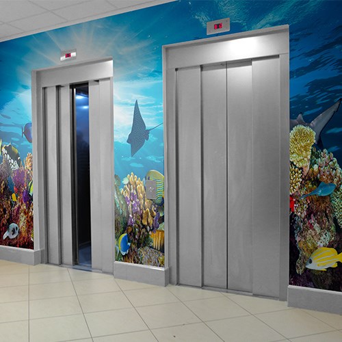KoroGraphics Wallcovering