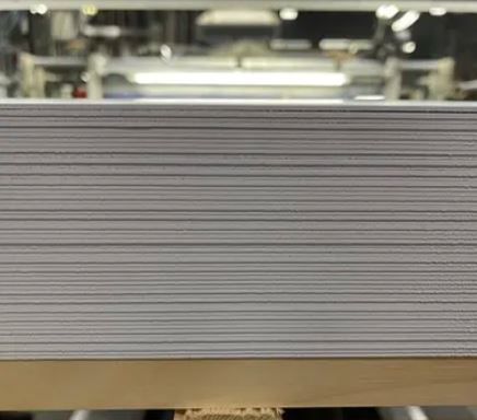 Duratex Polystyrene Dead White Sheet